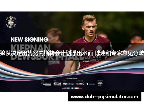 狼队决定出售努内斯转会计划浮出水面 球迷和专家意见分歧