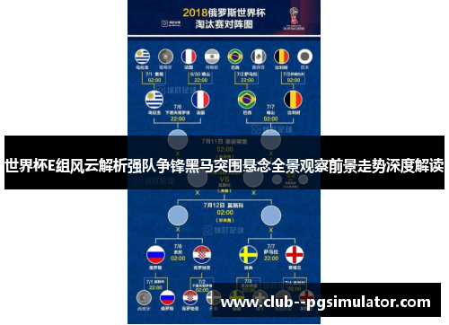 世界杯E组风云解析强队争锋黑马突围悬念全景观察前景走势深度解读