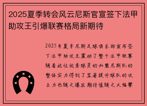 2025夏季转会风云尼斯官宣签下法甲助攻王引爆联赛格局新期待