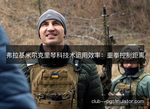 弗拉基米尔克里琴科技术运用效率：重拳控制距离